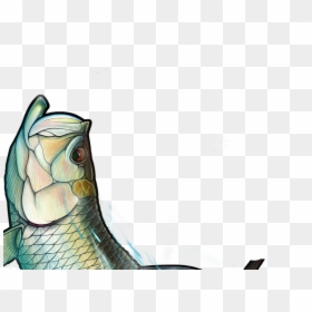 Cartoon, HD Png Download - fish group png