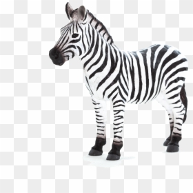 Ingilizce Zebra , Png Download - Hayvan Figürü, Transparent Png - zebra png images