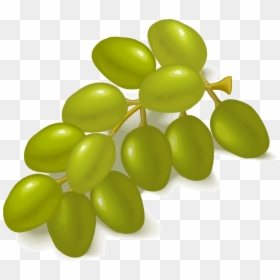 Food,fruit,grape - Groene Druiven Png, Transparent Png - grapes png images