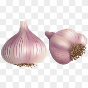 Png Pinterest Clip - Spices Vector, Transparent Png - onion png images
