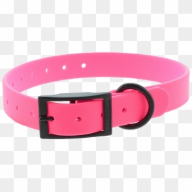 C142503 - Belt, HD Png Download - dog belt png