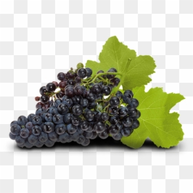 Seedless Fruit, HD Png Download - grapes png images