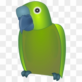 Flightless Bird,parrot,green - Clip Art, HD Png Download - green parrot png