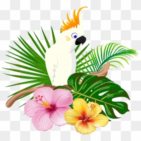 Parrot Bird Floral Design - Gambar Bunga Dan Burung Kakatua Png, Transparent Png - green parrot png