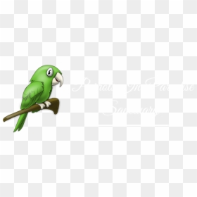 Parakeet, HD Png Download - green parrot png