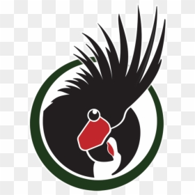 Wpt Logo - Parrot Farm In Pakistan, HD Png Download - green parrot png