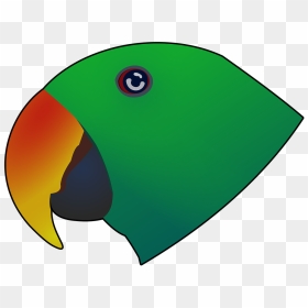 Eclectus, Bird, Parrot, Beak, Eccy, Green Parrot - Illustration, HD Png Download - green parrot png