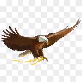 Golden Eagle Clipart Elang - Flying Eagle Clipart, HD Png Download - eagle png hd