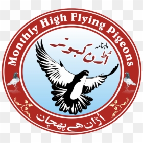 Toledo Community Foundation, HD Png Download - pigeons flying png