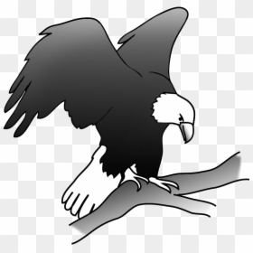 Eagle On A Branch In A Tree - Eagle On Branch Drawing, HD Png Download - eagle sitting png