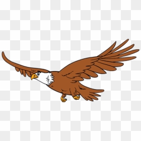 How To Draw Eagle - Eagle Drawing With Colours, HD Png Download - eagle sitting png