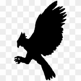 Transparent Eagle Silhouette Png - Philippine Eagle Vector Png, Png Download - eagle sitting png