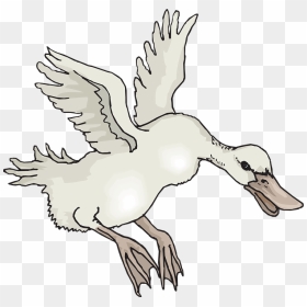 Landing White Duck Svg Clip Arts - Bebek Vector Png, Transparent Png - white duck png