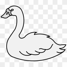 Transparent Swan Png - Duck, Png Download - white duck png
