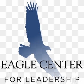 Eagle Sitting Png, Transparent Png - eagle sitting png