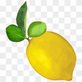 Lemon Transparent Image - Clip Art, HD Png Download - nimbu png