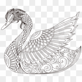 Swan Drawing, HD Png Download - white duck png