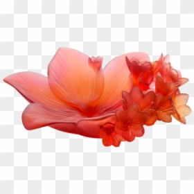 Hibiscus, HD Png Download - ik onkar png