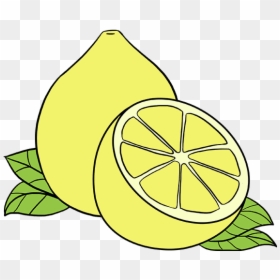 How To Draw Lemon - Drawing Of Lemon, HD Png Download - nimbu png
