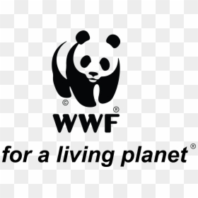 Logo N Tagline-01 - Wwf, HD Png Download - wwf png