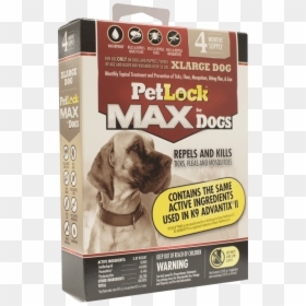 Petlock Max For Dogs, Hd Png Download , Png Download - Petlock Max For Small Dogs, Transparent Png - dog png hd