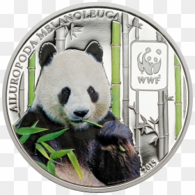 Coin , Png Download - Coin, Transparent Png - wwf png