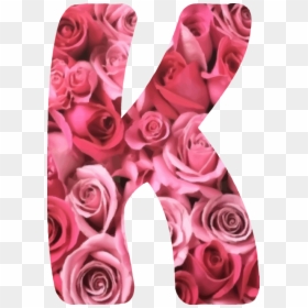 Pink,plant,flower - Alphabet R In Rose, HD Png Download - pink vector flowers png
