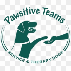 Pawsitive Teams - Dog Catches Something, HD Png Download - service dog png