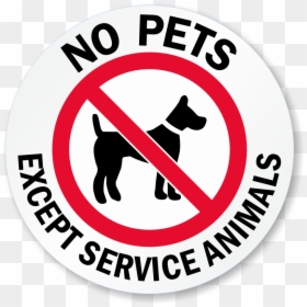No Pets Except Service Animals Signs, HD Png Download - service dog png