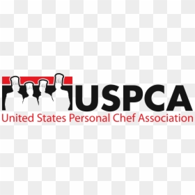 United States Personal Chef Association Logo - Graphic Design, HD Png Download - fgcu logo png