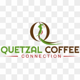 Quetzal Png, Transparent Png - quetzal png