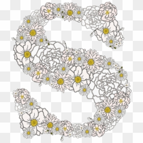 Camomile Foral Flower Font - Font, HD Png Download - smell png