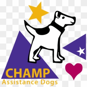 Champ Assistance Dogs, HD Png Download - service dog png
