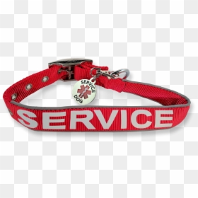 Service Dog Collar Tag - Belt, HD Png Download - service dog png