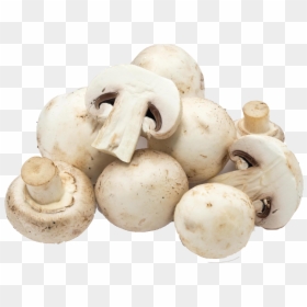 White Mushroom, HD Png Download - mushroom png