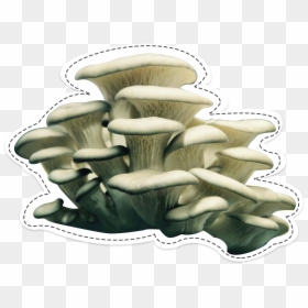 Mushroom Png, Transparent Png - mushroom png