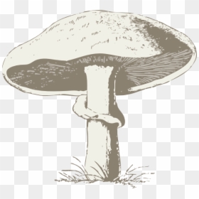 Vintage Mushroom Clip Art Black And White, HD Png Download - mushroom png