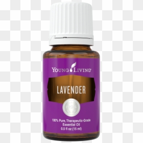 Lavender Png, Transparent Png - lavender png