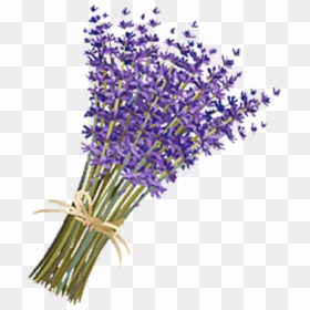 Lavender Flower Png, Transparent Png - lavender png