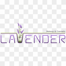 English Lavender, HD Png Download - lavender png