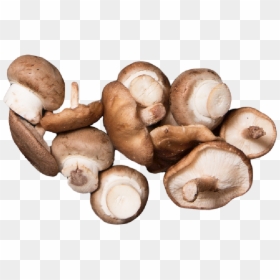 Shiitake, HD Png Download - mushroom png