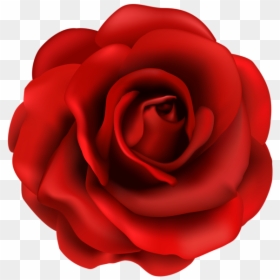 National Flower Of Us, HD Png Download - heart clipart png