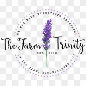 Lavanda, HD Png Download - lavender png