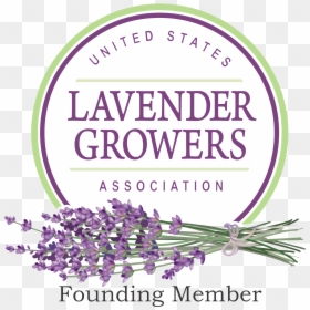 Us Lavender Growers Association, HD Png Download - lavender png