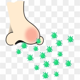 Rhinorrhea, HD Png Download - nose png