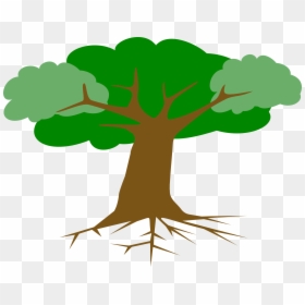 Arbol Con Su Raiz, HD Png Download - roots png