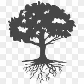 Family Reunion Tree Png, Transparent Png - roots png
