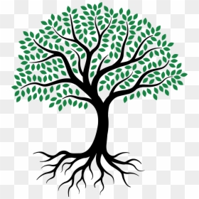 Tree Drawing Easy With Roots, HD Png Download - roots png