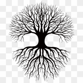 Tree And Roots Silhouette Png, Transparent Png - roots png