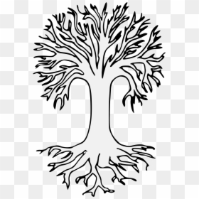 Transparent Background Roots Tree, HD Png Download - roots png